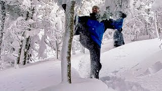 Amenez-en de la Neige!