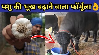 गाय/भैंस का दूध बढ़ाए मात्र 3 दिनों में|Doodh bdhane ka tarika|How to increase cow/buffalo milk