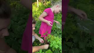 Picking Wild Raspberries Near Our Cabin in the Woods