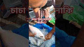 ইলিশ এখন না খাইলে আর খাইবেন কবে। ১ কেজি++ ১৫৫০ টাকা প্রতি কেজি আজকের রেট।#viralvideo #viralreels