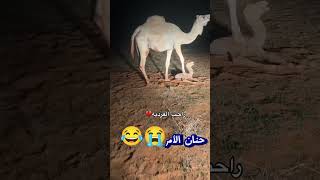 حنان الأم بختصار 🥲#فلسطين_حرة #فري_فاير #freefire #فري_فاير_بالعربي #garenafreefire #shortvideo