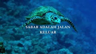 Sabar