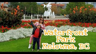 Waterfront Park Kelowna BC | Roadtrip to Kelowna Episode 8 | ysay dale