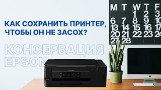 Как сохранить принтер, если не печатаешь? Консервация Epson L-серия (Фабрика Печати)