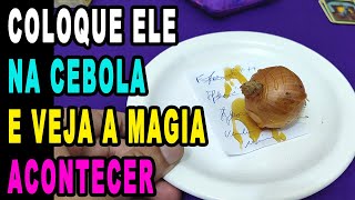 É SIMPLES! COLOQUE ELE NA CEBOLA E VEJA A MAGIA ACONTECER! LOUCO DE AMOR!