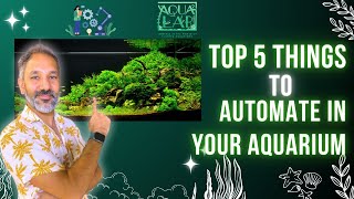 Top 5 Aquarium Automation Hacks | Simplify Your Planted Tank with AQUA² LAB