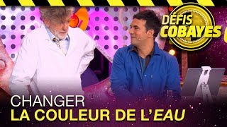 Peut-on changer la couleur de l'eau, sans sirop ni colorant ? - Défis Cobayes - France 4