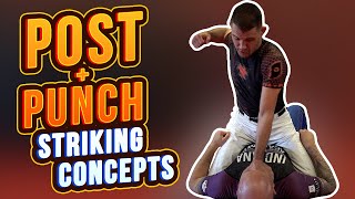 Post & PUNCH - Ground Striking Concepts for Self-Defense and MMA