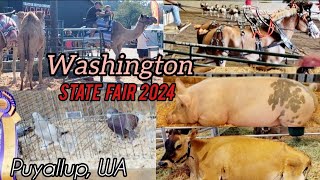 Animals Barns at Washington State Fair in Puyallup WA. Saturday, August 31st, 2024! Opening Weekend!