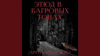 Глава 5. Ангелы-Мстители.10 - Этюд в багровых тонах