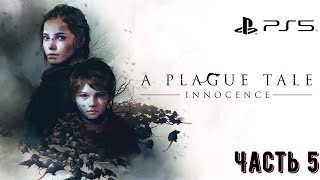 A Plague Tale Innocence - прохождение на Playstation 5 часть 5