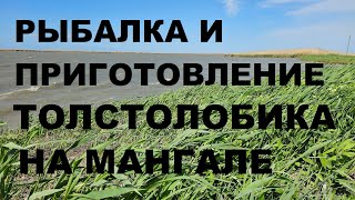 РЫБАЛКА И ПРИГОТОВЛЕНИЕ ТОЛСТОЛОБИКА НА МАНГАЛЕ ПОД ТАЗАМИ. РЕЦЕПТЫ СЮФ