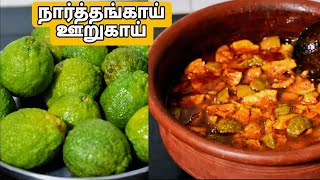 நார்த்தங்காய் ஊறுகாய் பித்தம் தலைசுற்றல் குறைக்கும் - Green Citron Pickle in Tamil