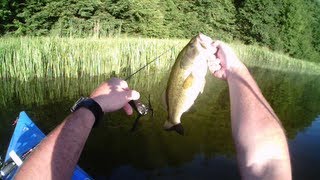 Nice Aggressive Bass on Bart