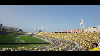 Amarillo es mi color! Pío Pío!!!