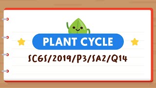 PSLE SCIENCE MADE SIMPLE EP130 | Plant Cycle | Why Did The Leaves Above The Broken Stem Die? 🍂