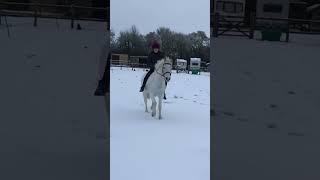 Cheeky Pony! At Least There’s A Soft Landing…Horse Fails