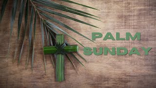 March 24, 2024 - 8:30 am Traditional Worship - St. Paul Lutheran Church PTC