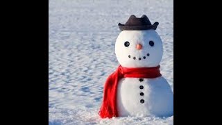 How To Build A Snowman - Most Unique Snowman I have ever seen ⛄