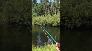 Spring Creek Rainbow Goes AIRBORNE #flyfishing  #trout