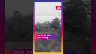 Sandakphu Snowing | সান্দাকফু-দার্জিলিংয়ে বছরের প্রথম তুষারপাত | West Bengal Tourism