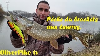 Pêche du Brochet aux leurres Année 2016 !!!