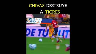 CHIVAS gustó y ganó a TIGRES #chivas #clausura2023 #ligamx #tigres