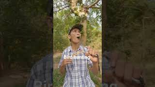 06Hunting Bird's | Amazing nature video | excellent hunter | Hunter of Birds | #viral #shortvideo