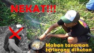 NEKAT MAKAN TANAMAN TERLARANG DIHUTAN | TONTON SAMPAI HABIS BIAR PAHAM - #lantaiatas #petualangan