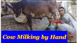 Village Girl Cow Milking by Hand // Village Girls Life