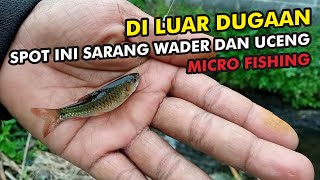 🔴Mancing Wader Di Parit Kecil Pinggir Sawah Pas Sarangnya