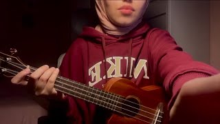 Bir Rüya Gördüm Dün Gece (ukulele cover)