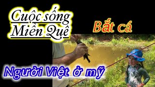 Sông nước miền Quê ,bắt cá , vui chơi , cuộc sống người việt ở Mỹ !