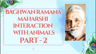 Baghwan Ramana Maharshi interaction with animals Part -2