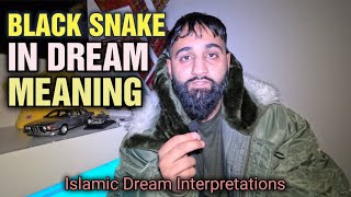 BLACK SNAKE DREAM MEANING - ISLAMIC DREAM INTERPRETATIONS