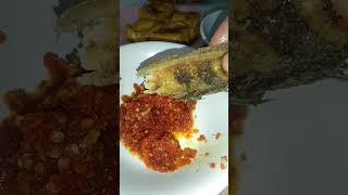 pecel lele nasi uduk sambal goreng #pecellele #nasiuduk