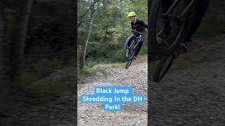 Black Jump Shredding In The DH Park! #mtb #shorts