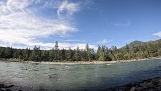 Catching EVERY Species of FISH in this River! (BC SERIES)