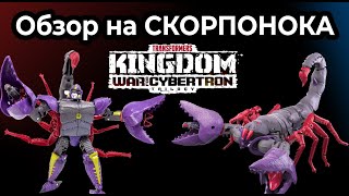 Обзор на СКОРПОНОКА | TRANSFORMERS KINGDOM SCORPONOK BEAST WARS WFC-K23 (Обзор #13)