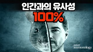 과학자들은 인간과 100% 똑같은 쥐를 만들어냈습니다.