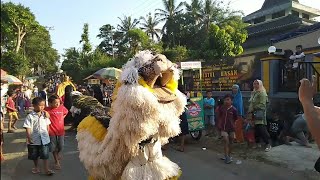 Sudah Tradisi di desa Wisuda diiringi Pawai Can macanan dan Drumband