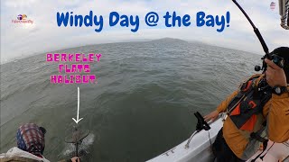 Windy Day @ the Bay| Berkeley Flats Fishing.