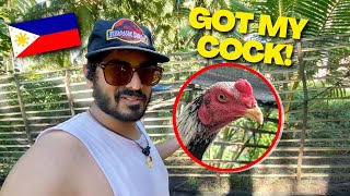 I Bought Filipino Fighting Cocks - Becoming Filipino? 🇵🇭 (Chicken for my Tiny House)