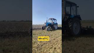 Пробуємо #сільськежиття #farming #сільське #agriculture #вирощувати