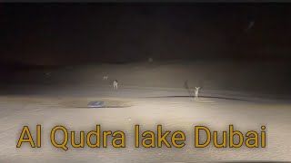 Game drive in Al Qudra moon shape lake Dubai Vlog/Crescent Moon Shape, Lake in the middle of Dubai