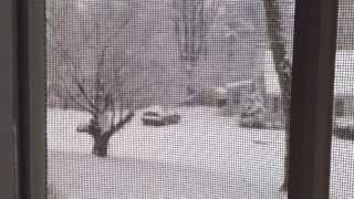 Gorgeous Snow Storm - Ossining NY