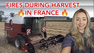 SMOKE EVERYWHERE - HARVEST 2022