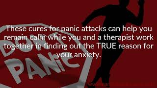 What Causes Panic Attacks To Appear