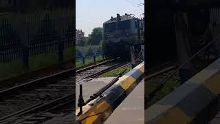 Train Horn Sound Effect comparison LDH WAP7 and GONDA WAP7 #hornsoundeffect