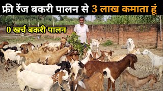 विदेश की नौकरी छोड़ गांव पर देशी बकरी पालन से 3 लाख कमाते है free ranj deshi bakari farm #goatfarm